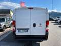 Fiat Ducato 30 2.3 MJT 160CV PM-TN Furgone Bianco - thumbnail 7