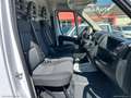 Fiat Ducato 30 2.3 MJT 160CV PM-TN Furgone Bianco - thumbnail 13