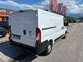 Fiat Ducato 30 2.3 MJT 160CV PM-TN Furgone Bianco - thumbnail 8