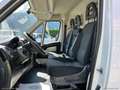 Fiat Ducato 30 2.3 MJT 160CV PM-TN Furgone Bianco - thumbnail 11
