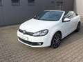 Volkswagen Golf Cabriolet Cup 1,4 TSI Bianco - thumbnail 5