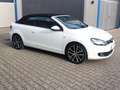 Volkswagen Golf Cabriolet Cup 1,4 TSI Bianco - thumbnail 24