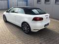 Volkswagen Golf Cabriolet Cup 1,4 TSI Blanco - thumbnail 9
