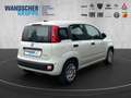 Fiat Panda MY25 Hybrid 1.0 GSE PDC TEMPOMAT NOTBREMS Weiß - thumbnail 5