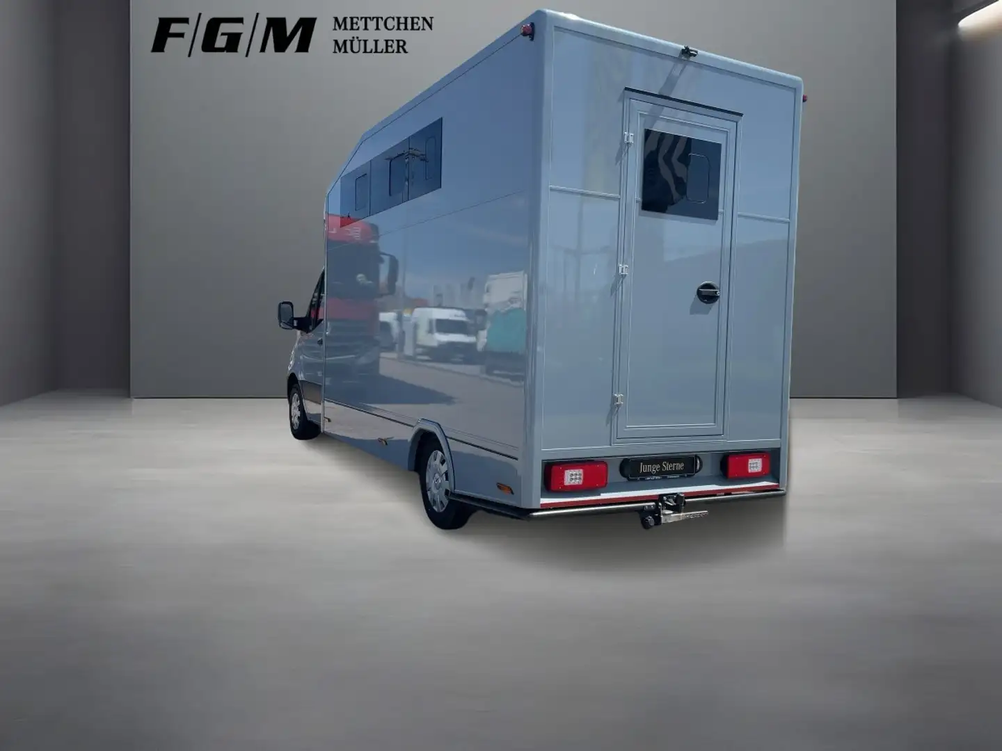 Mercedes-Benz Sprinter 319 CDI Pferdetransporter +TEMP+LED+ Grau - 2
