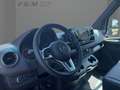 Mercedes-Benz Sprinter 319 CDI Pferdetransporter TEMP|LED Gris - thumbnail 8