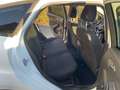 Ford Focus Focus 1,0 EcoBoost Trend Trend Weiß - thumbnail 12