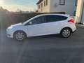 Ford Focus Focus 1,0 EcoBoost Trend Trend Weiß - thumbnail 6