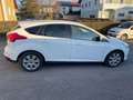 Ford Focus Focus 1,0 EcoBoost Trend Trend Weiß - thumbnail 3