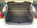 Ford Focus Focus 1,0 EcoBoost Trend Trend Weiß - thumbnail 7