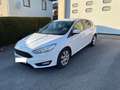Ford Focus Focus 1,0 EcoBoost Trend Trend Weiß - thumbnail 8