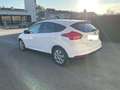 Ford Focus Focus 1,0 EcoBoost Trend Trend Weiß - thumbnail 2