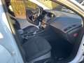 Ford Focus Focus 1,0 EcoBoost Trend Trend Weiß - thumbnail 11