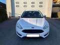 Ford Focus Focus 1,0 EcoBoost Trend Trend Weiß - thumbnail 5