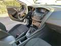 Ford Focus Focus 1,0 EcoBoost Trend Trend Weiß - thumbnail 10