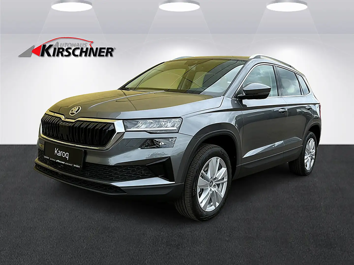 Skoda Karoq 2,0 TDI Selection Grau - 1