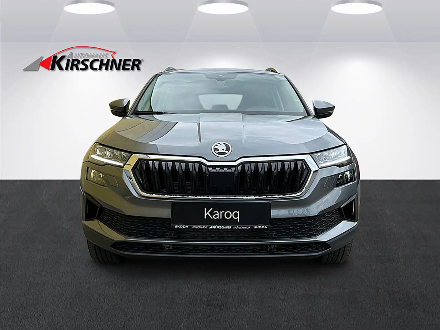 Skoda Karoq 2,0 TDI Selection Grau - 2