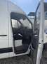 Mercedes-Benz Sprinter 313 CDI 3,5 t / 3.250 mm - thumbnail 9