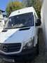 Mercedes-Benz Sprinter 313 CDI 3,5 t / 3.250 mm - thumbnail 4