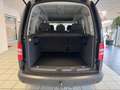 Volkswagen Caddy Kasten/Kombi Roncalli Trendline Braun - thumbnail 13