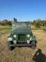 Jeep Willys del 65 - thumbnail 2
