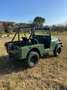 Jeep Willys del 65 - thumbnail 6