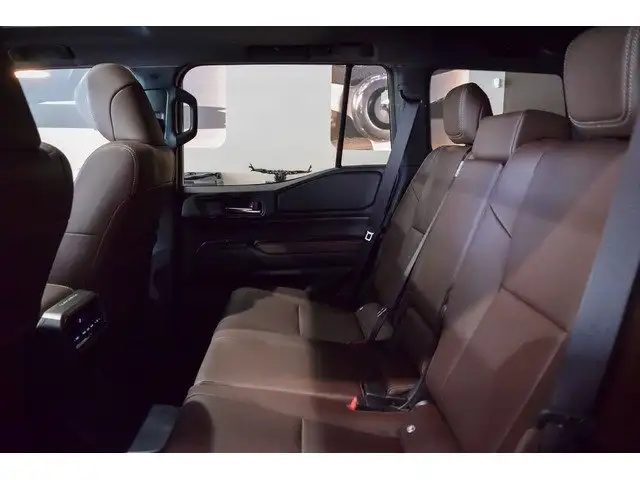 Toyota Land Cruiser view 9