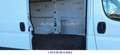 Fiat Ducato Hochr.-Kasten/Klima/Tüv 07.27/Inspk. NEU - thumbnail 6