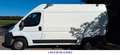 Fiat Ducato Hochr.-Kasten/Klima/Tüv 07.27/Inspk. NEU - thumbnail 2