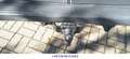 Fiat Ducato Hochr.-Kasten/Klima/Tüv 07.27/Inspk. NEU - thumbnail 15