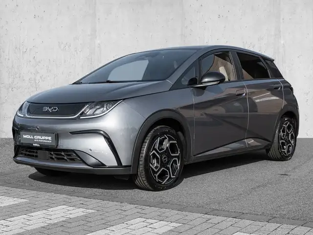 BYD Dolphin Design Panoramadach*Navigation