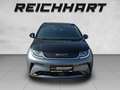BYD Dolphin Design Schwarz - thumbnail 4