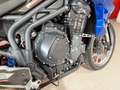 Triumph Tiger Explorer 1200 Carbon Remus 2.Hand Bleu - thumbnail 12