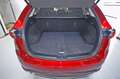Mazda CX-5 2.0 Zenith Black Leather 4WD Aut. 118kW Rojo - thumbnail 9