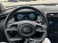 Hyundai TUCSON Tucson 1.6 PHEV 4WD aut. Exellence Verde - thumbnail 9