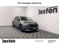 Skoda Fabia Monte Carlo 1.0 TSI LED PDC RFK SMART LINK VIRTUAL Grau - thumbnail 1