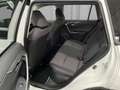 Toyota RAV 4 2,5 l Hybrid Active Drive Allrad Weiß - thumbnail 6