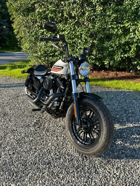 Harley-Davidson Sportster Forty Eight - foto 6