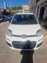 Fiat Panda Panda 1.0 FireFly S&S Hybrid Blanc - thumbnail 1