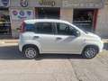 Fiat Panda Panda 1.0 FireFly S&S Hybrid Blanc - thumbnail 3