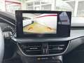 Ford Focus 1.0 EcoBoost Hybrid 125 CV 5p. tua a 330,00 Grau - thumbnail 9