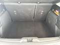 Ford Focus 1.0 EcoBoost Hybrid 125 CV 5p. tua a 330,00 Grau - thumbnail 11