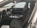 Alfa Romeo Stelvio 2.2 t Executive Q4 190cv auto Silber - thumbnail 14
