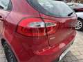 Kia Rio Rio 1.1 CRDi WGT 5p. EX Rosso - thumbnail 6