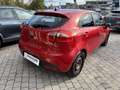 Kia Rio Rio 1.1 CRDi WGT 5p. EX Rosso - thumbnail 3
