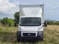 Fiat Ducato Bianco - thumbnail 3