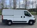 Peugeot Boxer Combi 2.0 BlueHDI 330 L1H1 130 - thumbnail 6