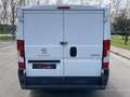 Peugeot Boxer Combi 2.0 BlueHDI 330 L1H1 130 - thumbnail 9