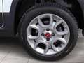 Fiat Panda 0.9 Twin Air Cross 4x4 Weiß - thumbnail 4