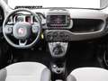 Fiat Panda 0.9 Twin Air Cross 4x4 Weiß - thumbnail 9